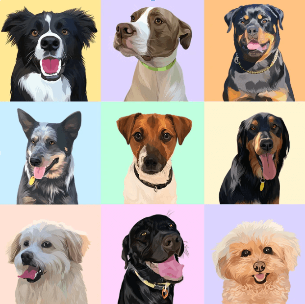 Timeless Pet Portraits That Turn Memories Into Art